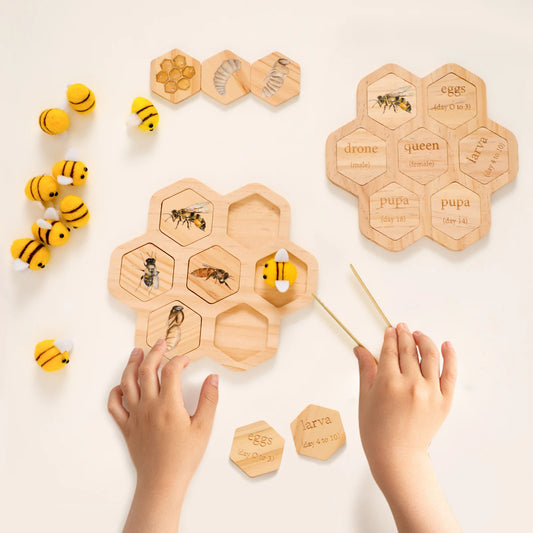 Children's Wooden Bee Life Cycle Puzzle