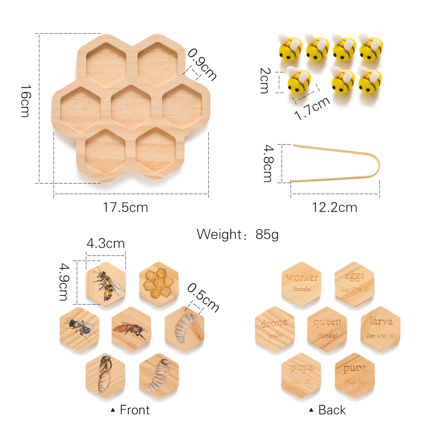 Children's Wooden Bee Life Cycle Puzzle