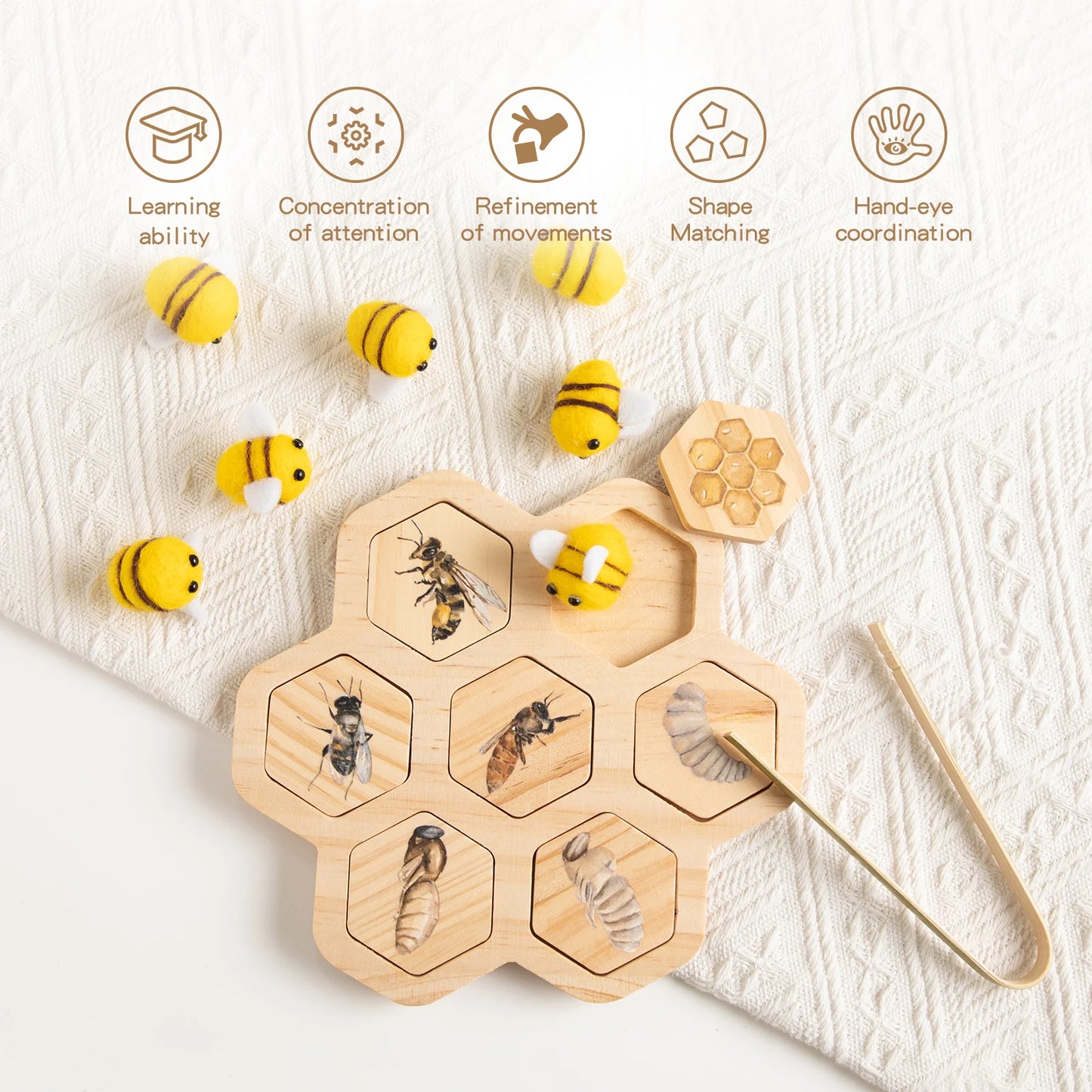 Children's Wooden Bee Life Cycle Puzzle