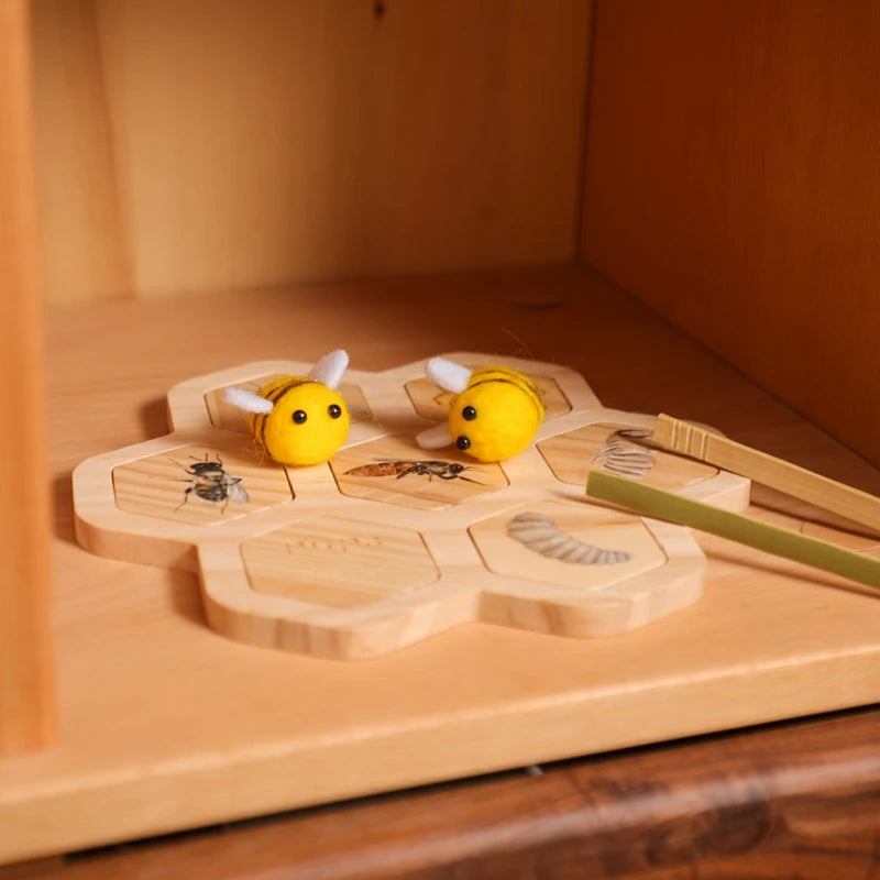 Children's Wooden Bee Life Cycle Puzzle