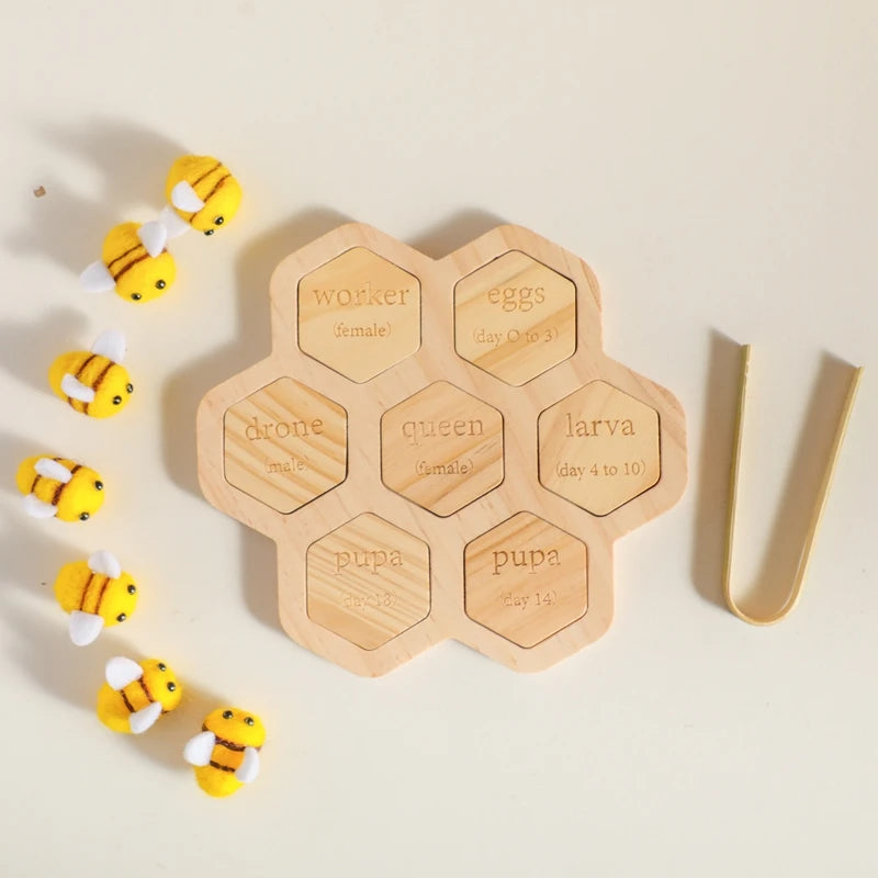 Children's Wooden Bee Life Cycle Puzzle