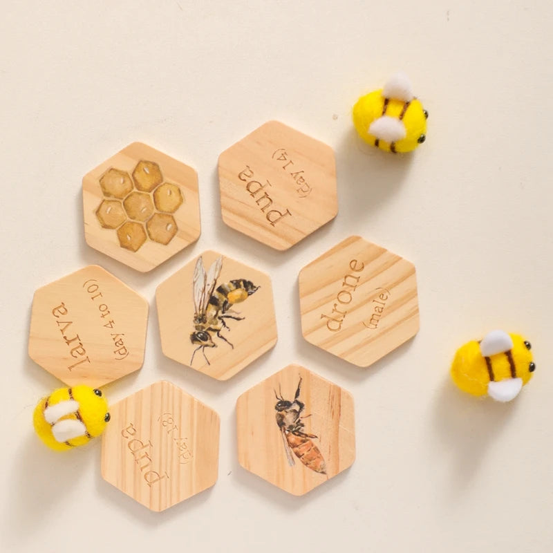 Children's Wooden Bee Life Cycle Puzzle