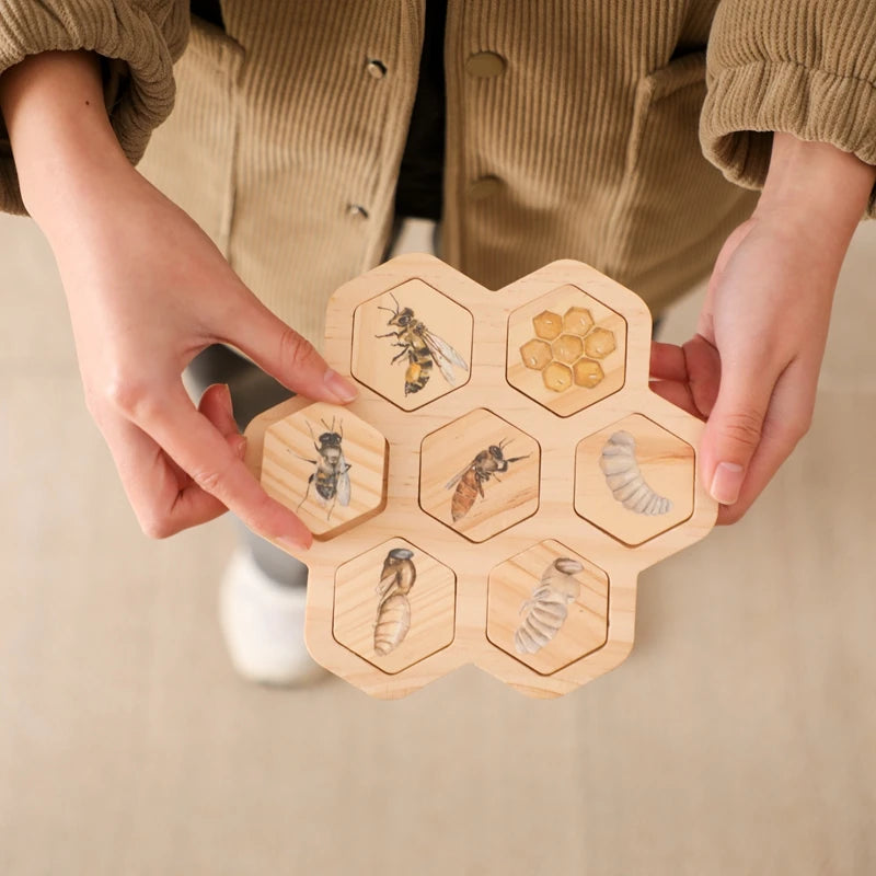 Children's Wooden Bee Life Cycle Puzzle