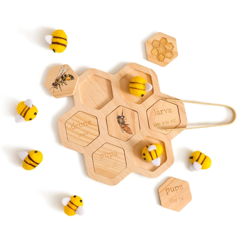 Children's Wooden Bee Life Cycle Puzzle