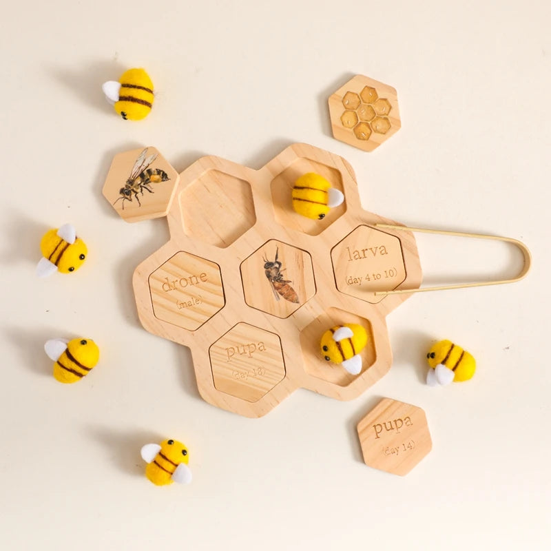 Children's Wooden Bee Life Cycle Puzzle