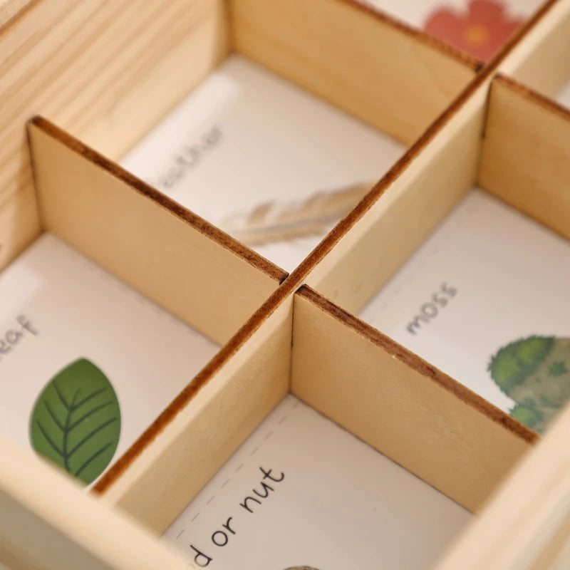 Children’s Nature Observation & Finding Set