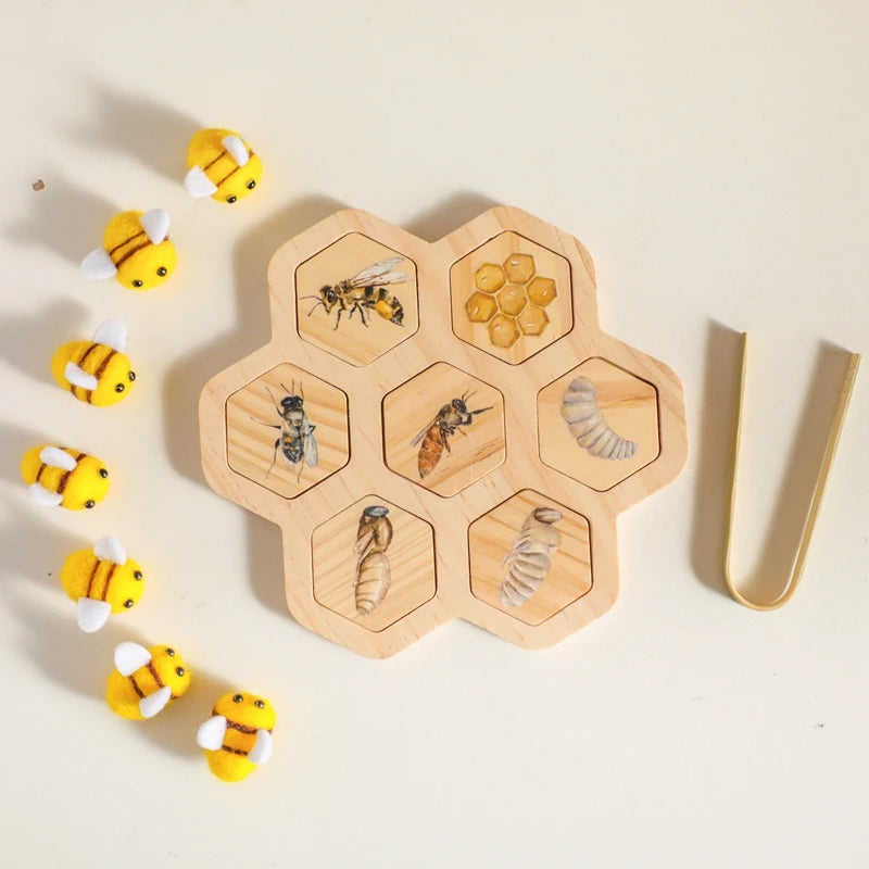 Children's Wooden Bee Life Cycle Puzzle