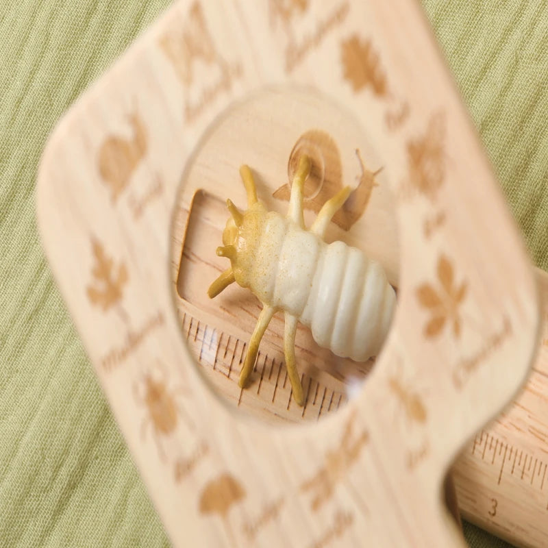 The Little Explorer Kit